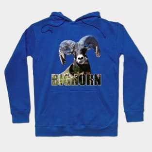 The Bighorn Hoodie